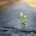Focus On Your Strengths