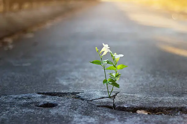 Focus On Your Strengths