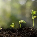 Prolific Questions to Discover Your Life Purpose