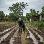 hard work always pays off