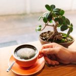 how to quiet your mind and be productive