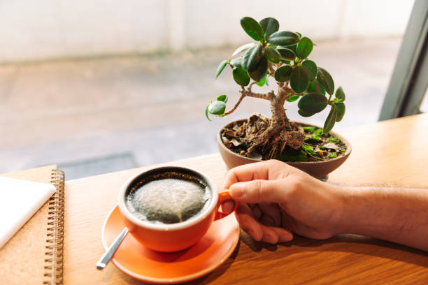 how to quiet your mind and be productive