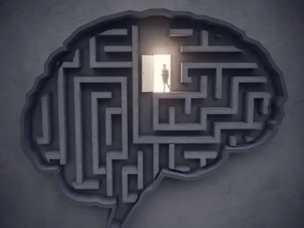 brain and creativity